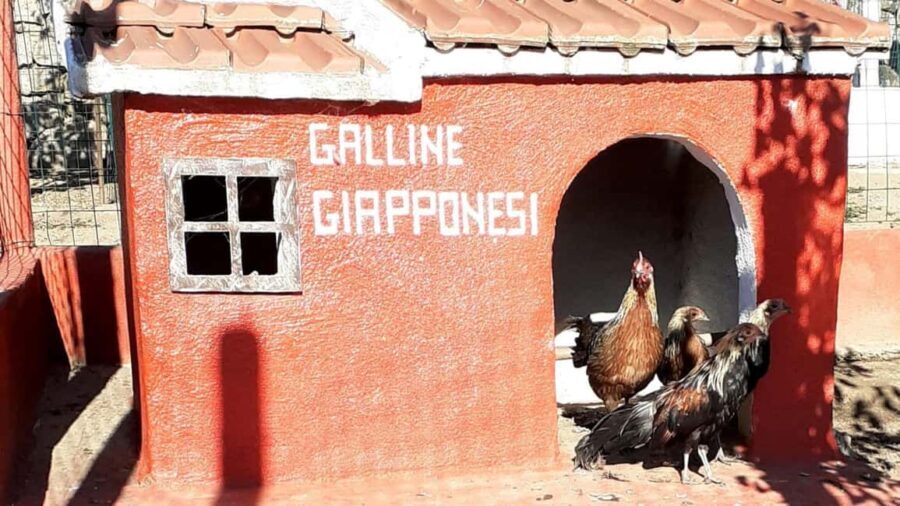 Burgos: visit to a farm with tasting - What To Expect: The Practical Details