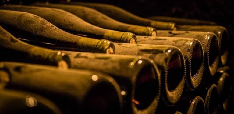 Burgundy Vineyards: Luxury Private Tours - The Itinerary in Detail