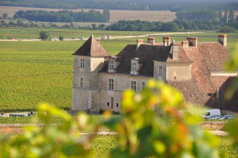 Burgundy Wines Full-Day Tasting Tour from Dijon - The Experience in Detail