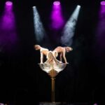 Burlesque Dinner Club in Vienna - Key Points