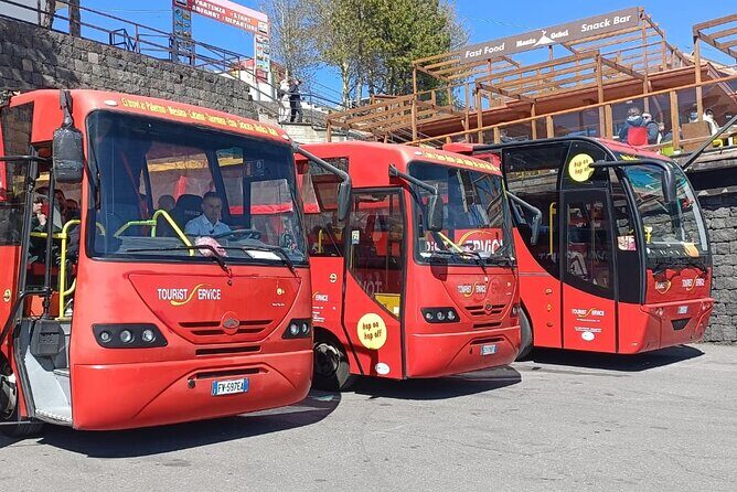 Bus Etna Experience of Italy - The Cost-Benefit Analysis
