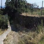 Bussana: a ghost village saved by art - Final Thoughts: Who Is This Tour Best For?