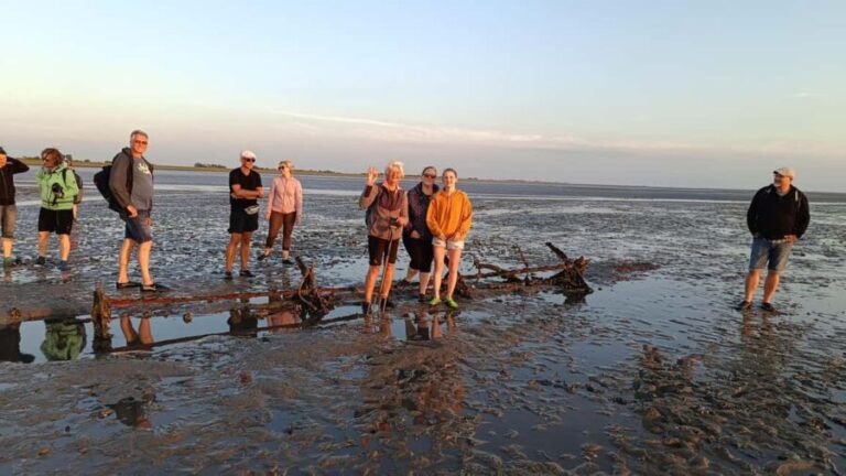 Butjadingen: Guided mudflat hike in the World Heritage Site - What Makes This Tour Special?