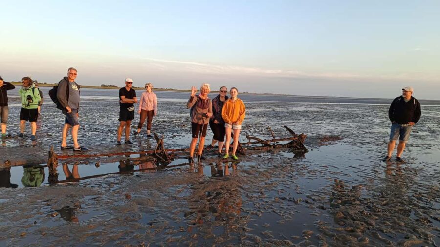Butjadingen: Guided mudflat hike in the World Heritage Site - What Makes This Tour Special?