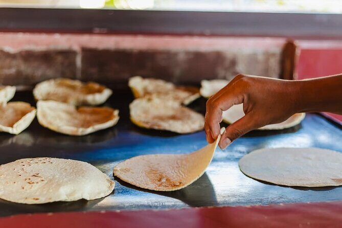 Butterfly Sanctuary and Lunch Experience with Transport - The Itinerary in Detail