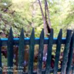 Butterfly valley,Farfalle,Schmetterling,Papillon & transfer! - Practical Aspects & Tips