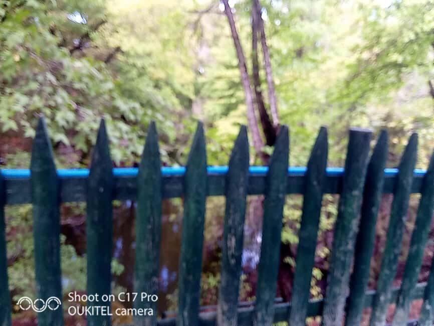 Butterfly valley,Farfalle,Schmetterling,Papillon & transfer! - Practical Aspects & Tips