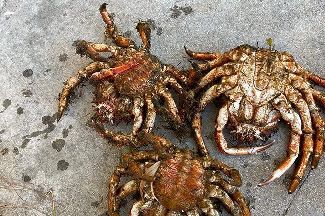 Buy, Cook & Taste-Gastronomic Tour North Portugal - Who Is This Tour Best For?