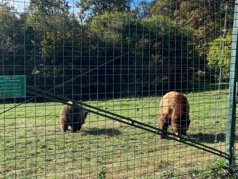 BV05-Private Hiking Tour and Bear Watching: Piatra Craiului - The Nuts and Bolts: What’s Included and What’s Not