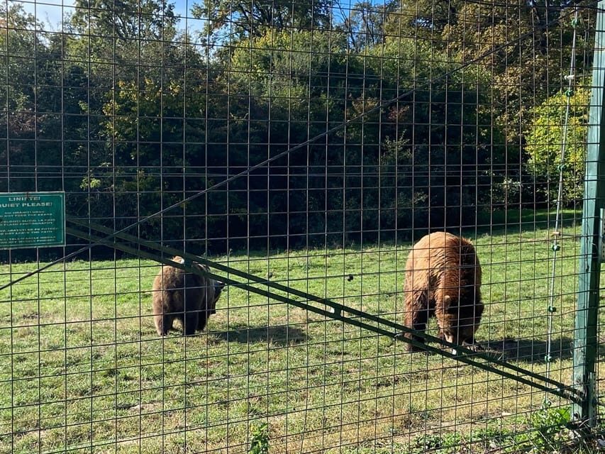 BV05-Private Hiking Tour and Bear Watching: Piatra Craiului - The Nuts and Bolts: What’s Included and What’s Not