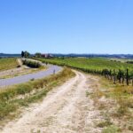 By Ebike: Visit an Art Park and Wine Taste in the Classic Chianti - What’s Included and What’s Not