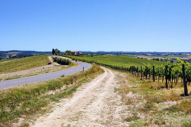 By Ebike: Visit an Art Park and Wine Taste in the Classic Chianti - What’s Included and What’s Not