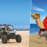 Cabo Adventure: Can-Am X3 Ride & Camel Beach Tou - Key Points