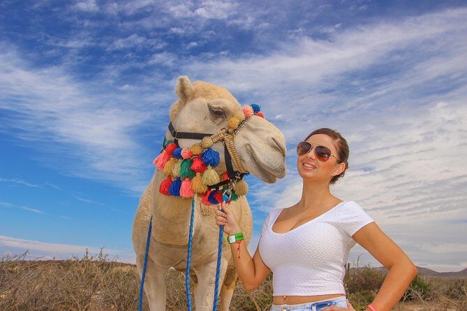 Cabo Camel Ride, Mexican Buffet and Tequila Tasting - The Attractions in Detail