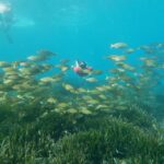 Cabo de Gata Natural Park: Guided Snorkeling Tour - Why the Reviews Say It’s Special