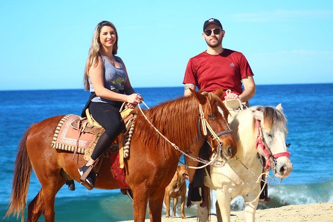 Cabo Desert Off-Road & Beach Horseback Combo and Tequila Tasting - The Practical Side: What’s Included and What’s Not