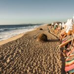 Cabo Lifestyle Photoshoot - A Closer Look at the Cabo Lifestyle Photoshoot