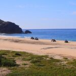 Cabo Original Real Baja 1000 Tour (Triple UTV) - Real Traveler Experiences