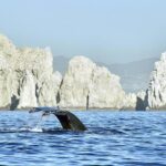 Cabo Private Transportation to Cabo - What to Expect from Your Transfer