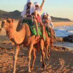 Cabo San Lucas Camel Ride and Encounter on Beach and Desert - The Real Experience: Pros and Cons