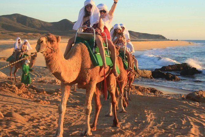 Cabo San Lucas Camel Ride and Encounter on Beach and Desert - The Real Experience: Pros and Cons