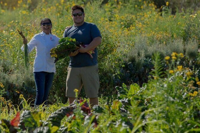 Cabo San Lucas Cooking Classes by Chef Ari - The Add-Ons and Flexibility