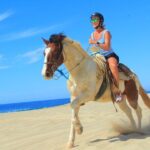 Cabo Shore Excursion: Beach Horseback Ride & Tequila Tasting - Real Experiences from Travelers