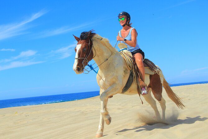Cabo Shore Excursion: Beach Horseback Ride & Tequila Tasting - Real Experiences from Travelers