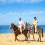 Cabo Tour Mexico Camel and Horseback Ride with ATV Adventure - How the Tour Gets Rave Reviews