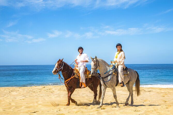 Cabo Tour Mexico Camel and Horseback Ride with ATV Adventure - How the Tour Gets Rave Reviews