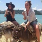 Cabrio Bus Safari at the Taurus Mountains from Side - Who Should Consider This Tour?