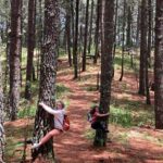 Cacao day experience from the wood to your cup! - Key Points