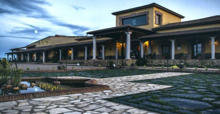 Cáceres: Winery Tour and Wine Tasting with Local Guide - Who Should Consider This Tour?