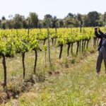 Cadaqués & Wine Tasting Day Trip - What’s the Overall Value?