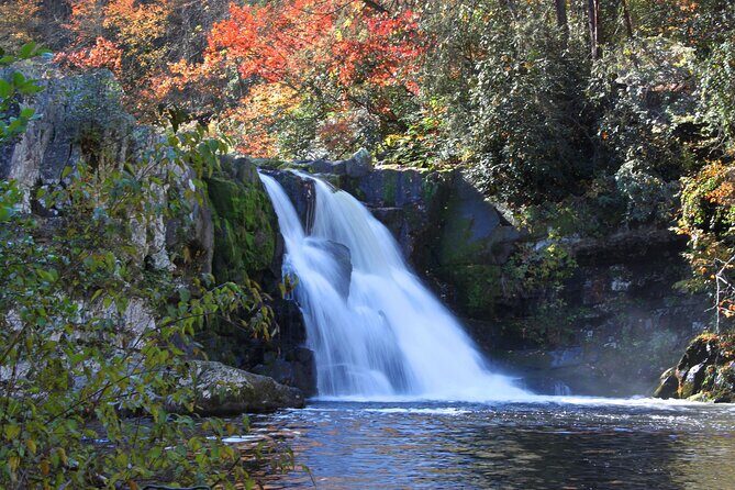 Cades Cove Sightseeing Self-Guided Driving Audio Tour - The Itinerary: What Can You Expect?