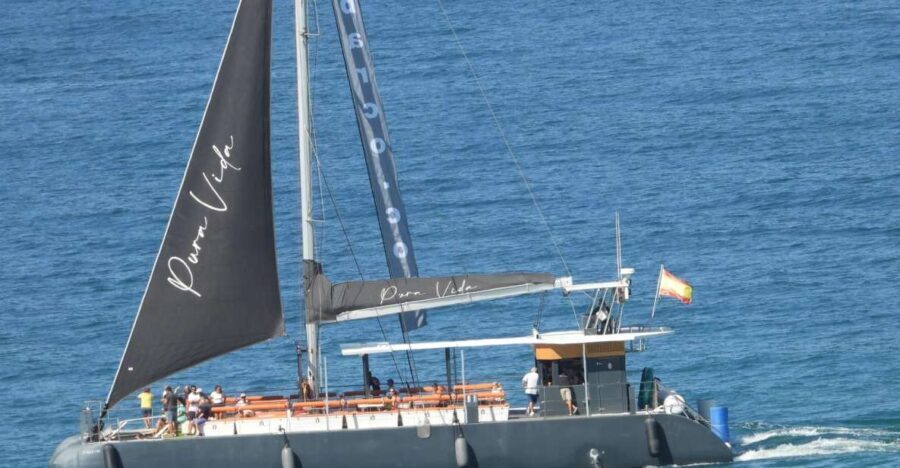 Cadiz: Bay of Cadiz Catamaran Tour with Host - The Route and Sights