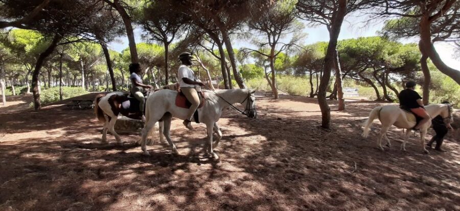 Cádiz Country side: Ride an Andalusian Horse - The Sum Up