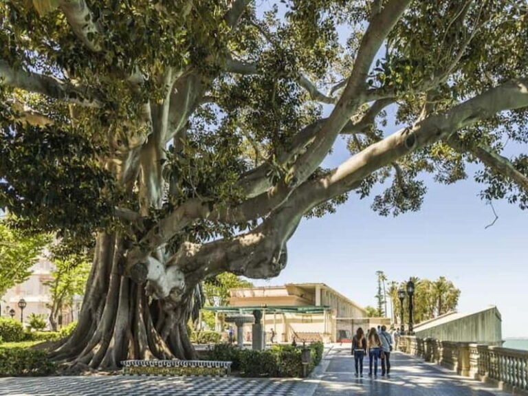 Cadiz: Enigmas City Tour - Exploring Cádiz’s Mysteries: What You Can Expect