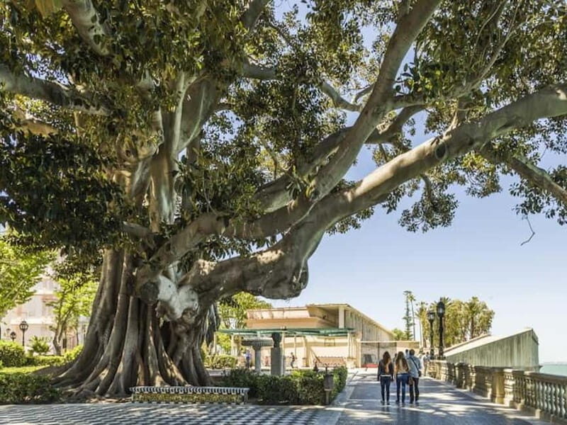 Cadiz: Enigmas City Tour - Exploring Cádiz’s Mysteries: What You Can Expect