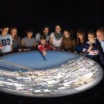 Cadiz To Indies Route and Tavira Tower - Why This Tour Works Well