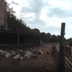 Caffarella Park: Rome's Secret Urban Hiking Paradise - The Highlights and Why They Matter