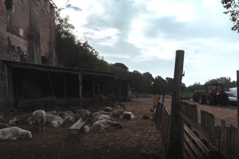 Caffarella Park: Rome's Secret Urban Hiking Paradise - The Highlights and Why They Matter