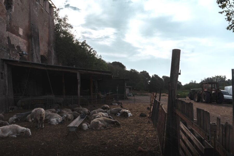 Caffarella Park: Rome's Secret Urban Hiking Paradise - The Highlights and Why They Matter