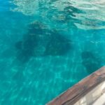 Cagliari: Classic Boat tour along the gulf with tasting. - The Itinerary and What to Expect