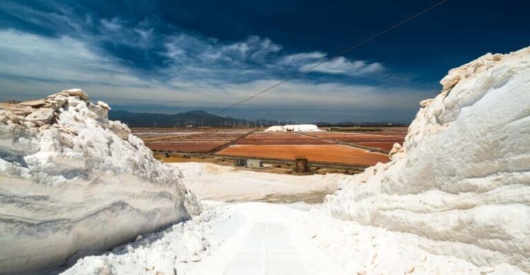 Cagliari: Conti Vecchi Salt Flats Train and Tour - What Is the Tour Really Like?