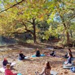 Cagliari: forest bathing at Sette Fratelli Park - Who Will Love This Experience?