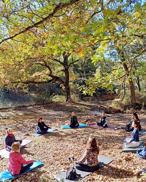 Cagliari: forest bathing at Sette Fratelli Park - Who Will Love This Experience?