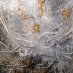 Cagliari: Is Zuddas Caves Private Experience from Chia - A Deep Dive into the Tour Experience