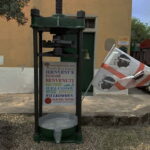 Cagliari Olive Oil Museum: Tours & Tasting a Dolianova - A Closer Look at the Tour Experience