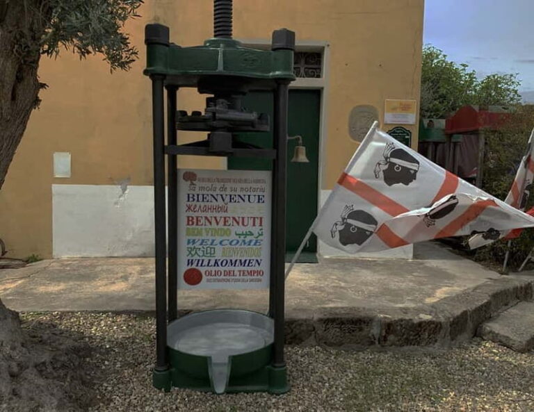 Cagliari Olive Oil Museum: Tours & Tasting a Dolianova - A Closer Look at the Tour Experience